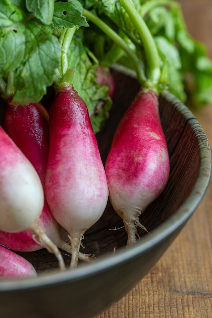 Fresh French breakfast radishes with pink and white skins and green tops in a dark wooden bowl